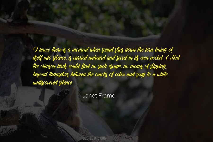 Janet Frame Quotes #1329633