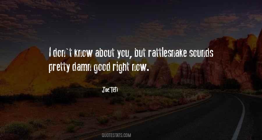 Janet Rebhan Quotes #892052