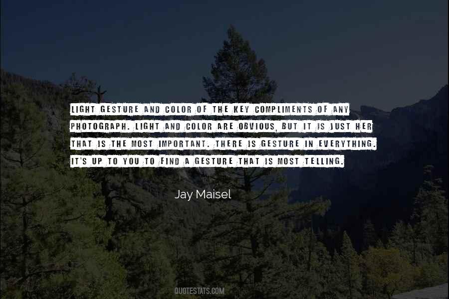 Jay Maisel Quotes #1806829