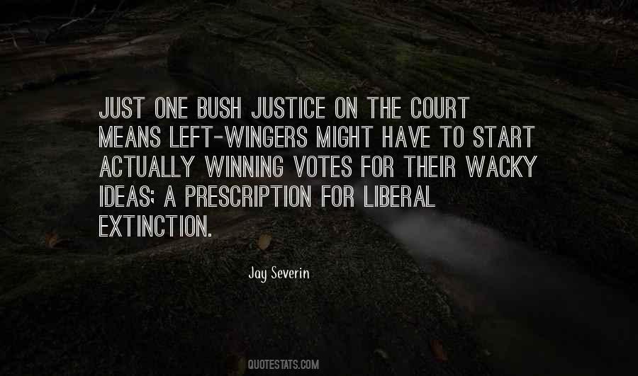 Jay Severin Quotes #1751544