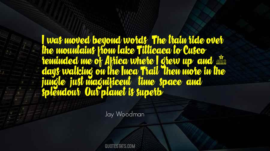 Jay Woodman Quotes #170493