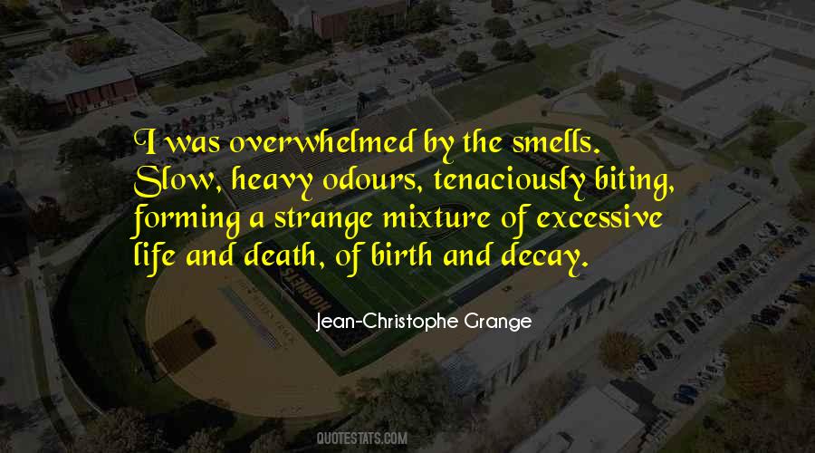 Jean Christophe Grange Quotes #503356