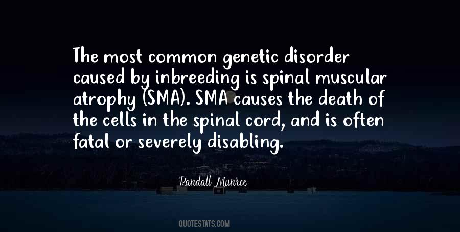 Quotes About Spinal #179025