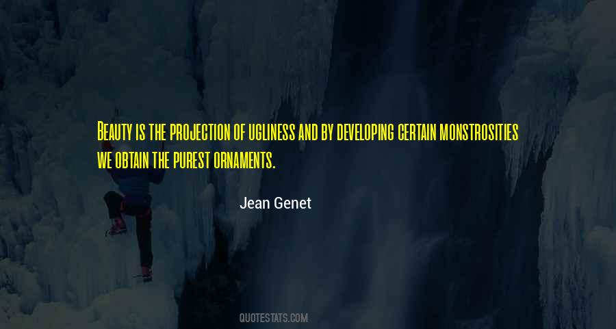 Jean Genet Quotes #284964