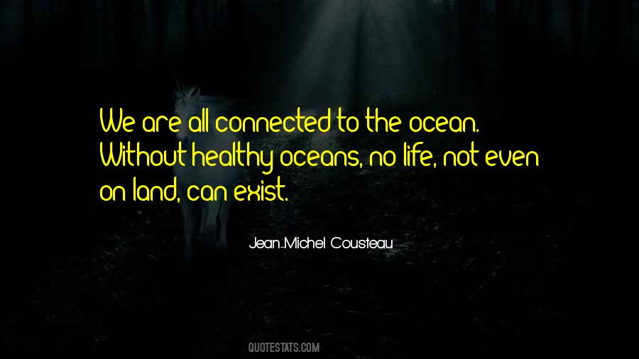 Jean Michel Cousteau Quotes #510490