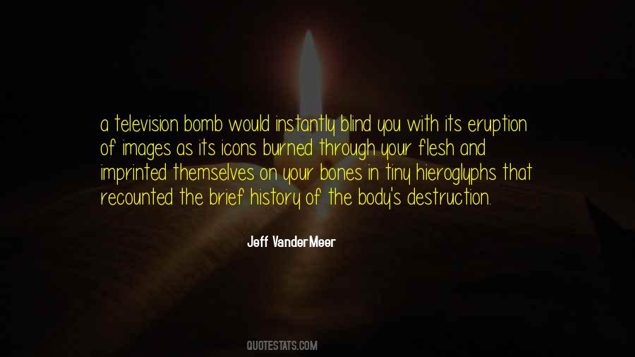 Jeff Vandermeer Quotes #38298