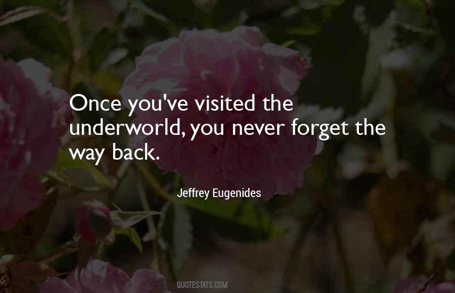 Jeffrey Eugenides Quotes #208610