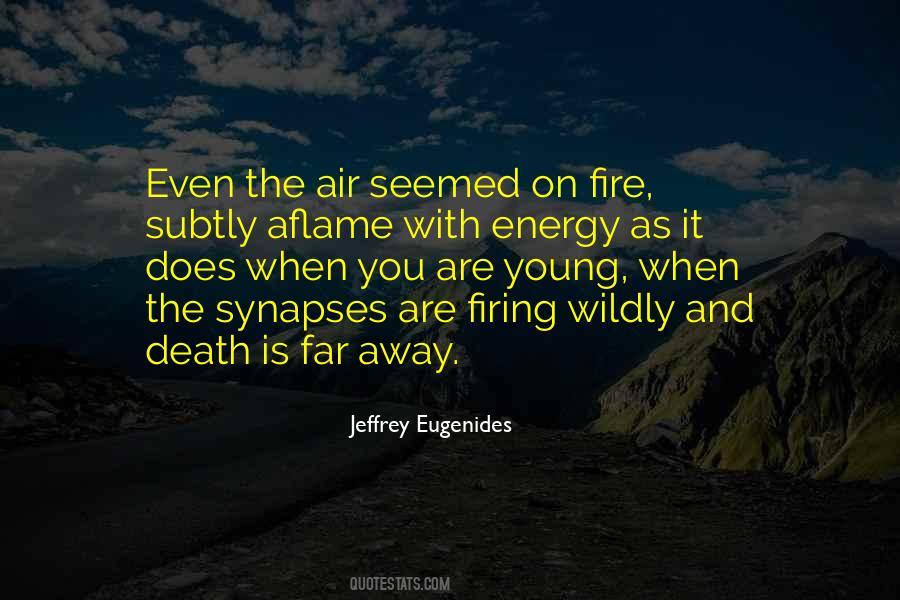 Jeffrey Eugenides Quotes #362547