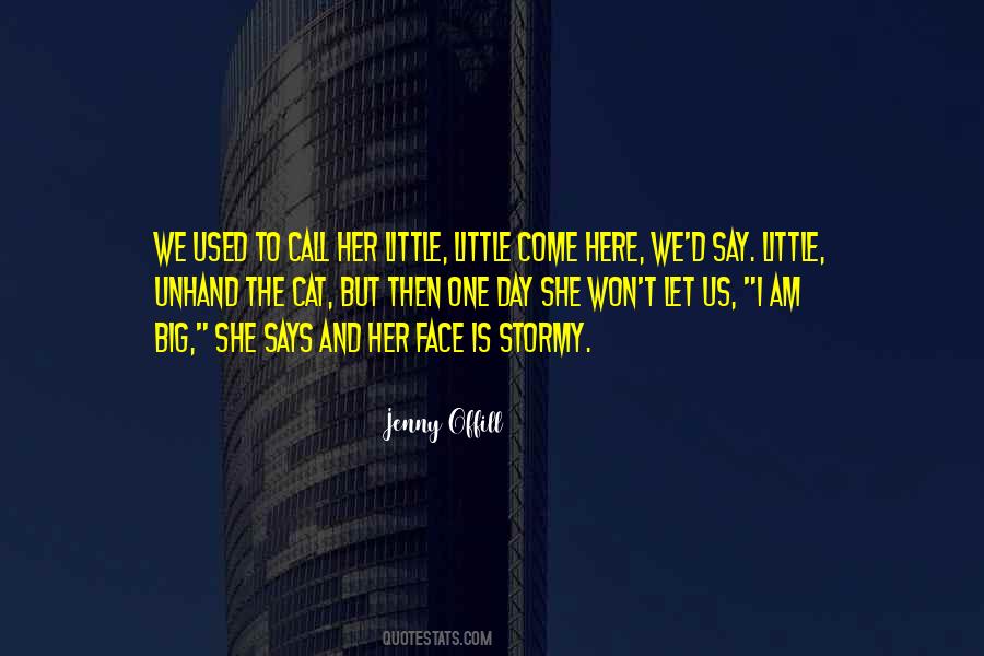 Jenny Offill Quotes #1064562