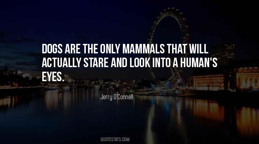 Jerry O'connell Quotes #1244007