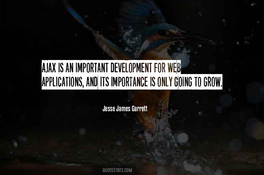 Jesse James Garrett Quotes #1248681