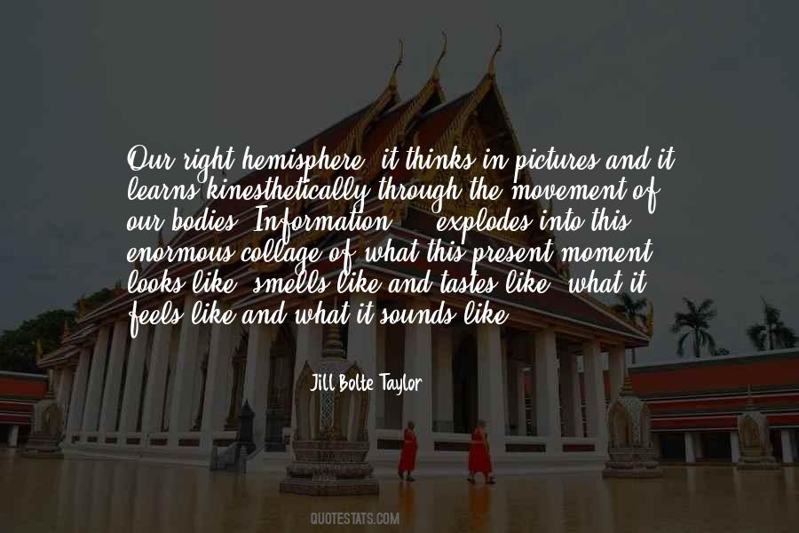 Jill Bolte Taylor Quotes #94670