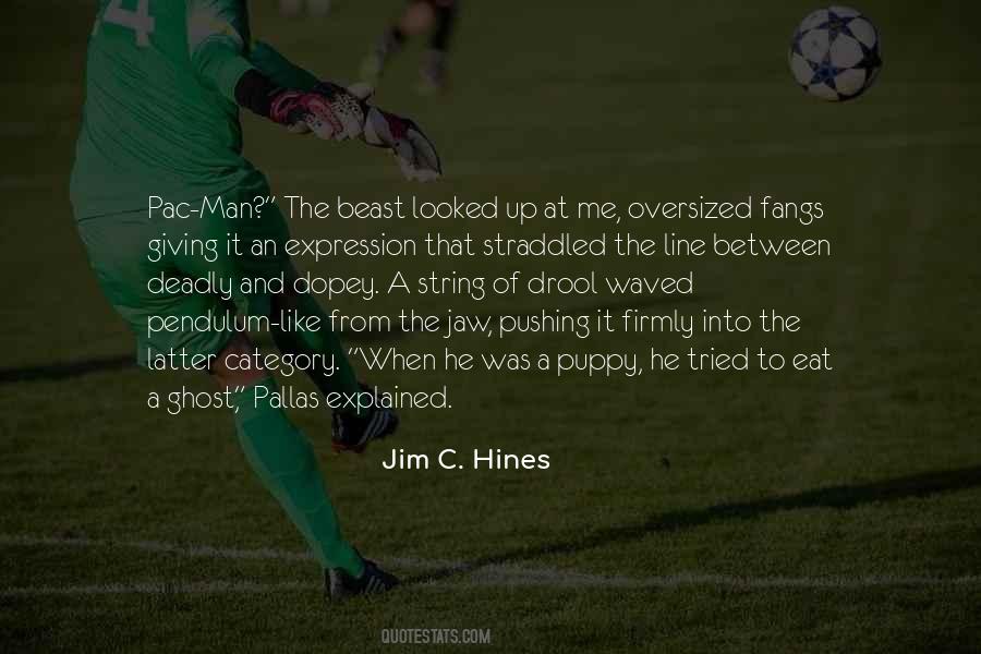 Jim C Hines Quotes #223434