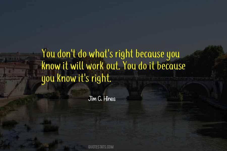 Jim C Hines Quotes #669099