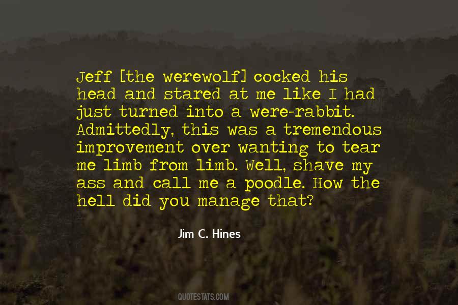 Jim C Hines Quotes #865405