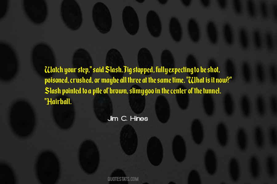 Jim C Hines Quotes #922749