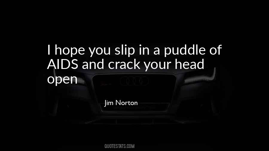 Jim Norton Quotes #963071