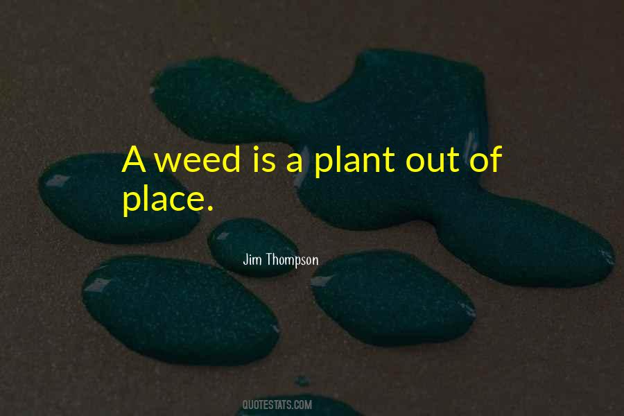 Jim Thompson Quotes #320394