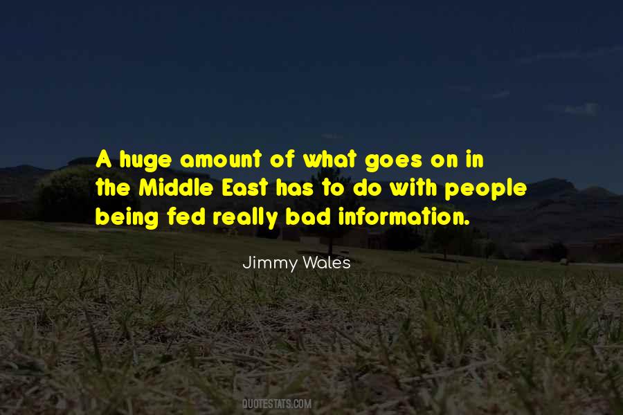 Jimmy Wales Quotes #620599