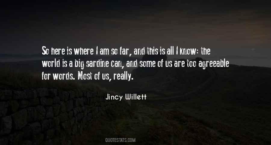 Jincy Willett Quotes #1437252