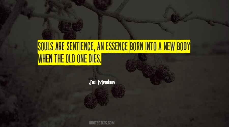 Jodi Meadows Quotes #239231