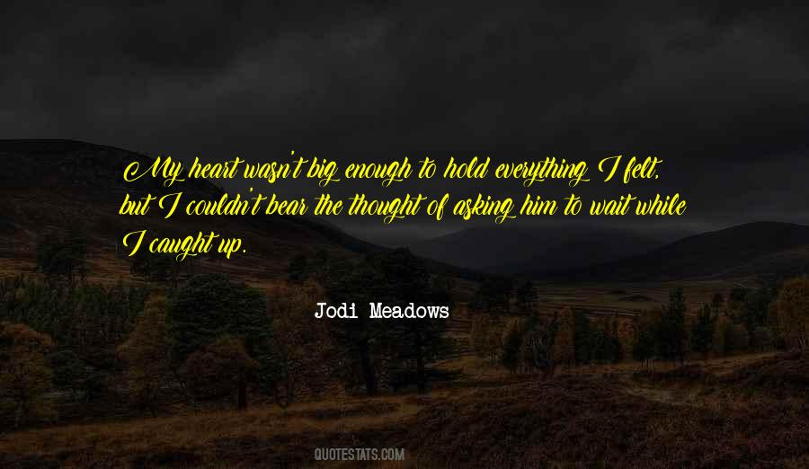 Jodi Meadows Quotes #686053