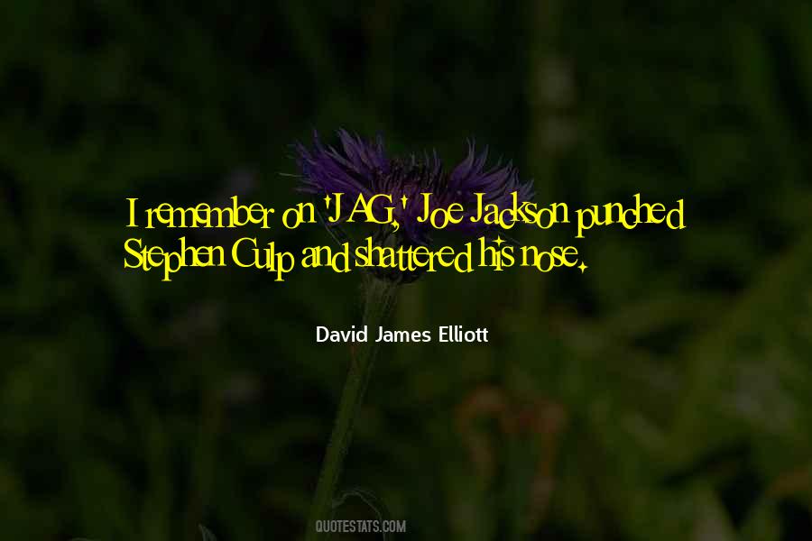 Joe Elliott Quotes #1031119