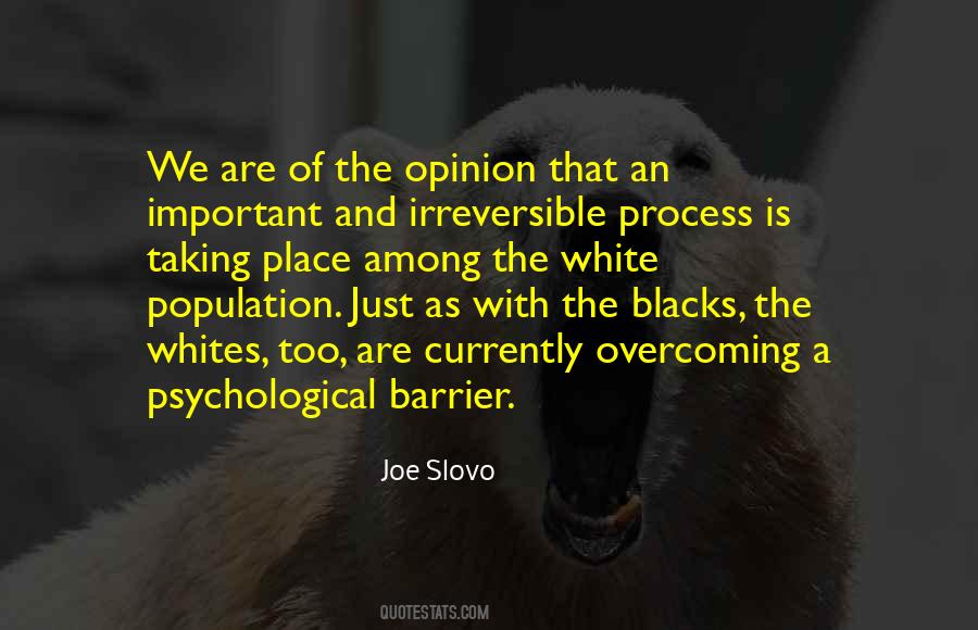 Joe Slovo Quotes #945004
