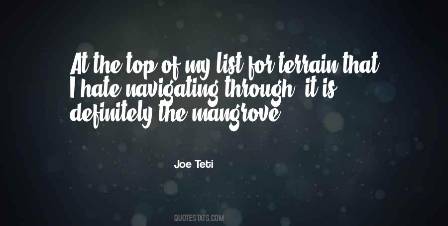 Joe Teti Quotes #1276205