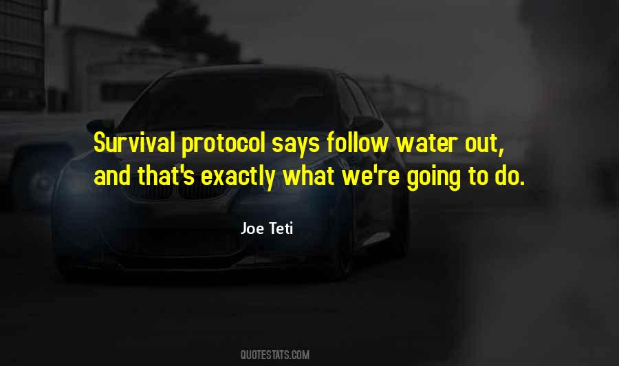 Joe Teti Quotes #265616