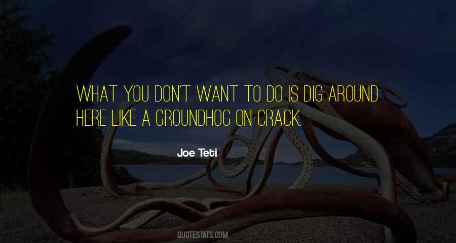 Joe Teti Quotes #457212