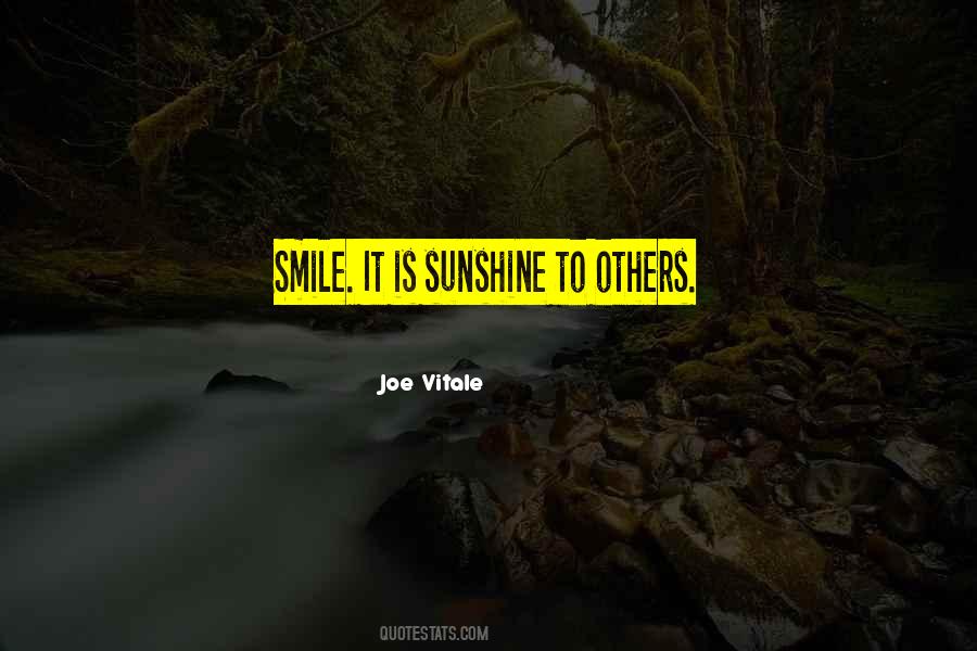 Joe Vitale Quotes #398211