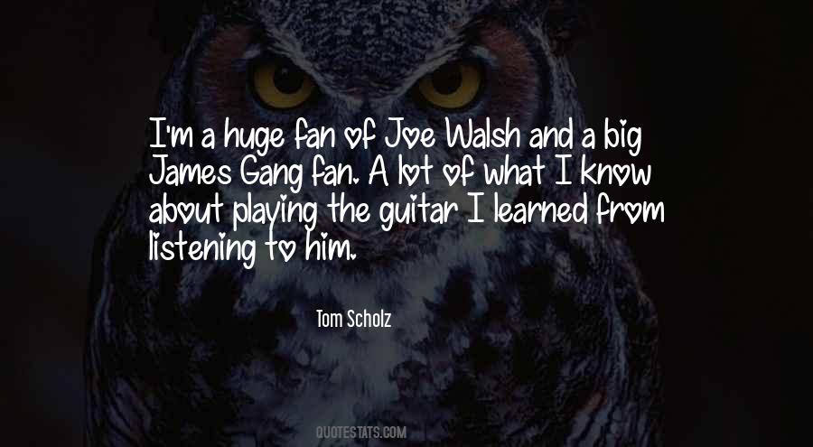 Joe Walsh Quotes #268571