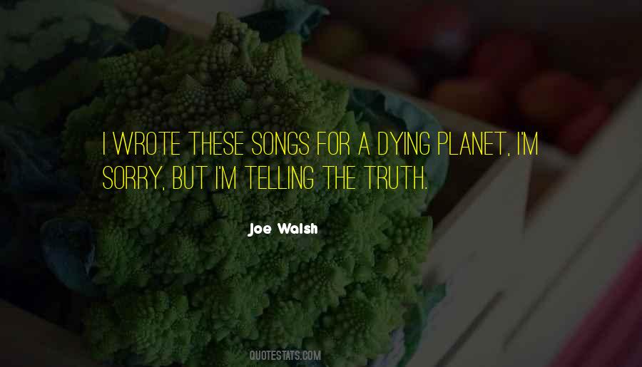 Joe Walsh Quotes #464032