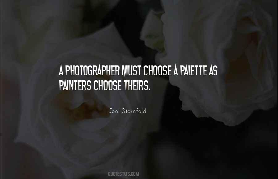 Joel Sternfeld Quotes #215964