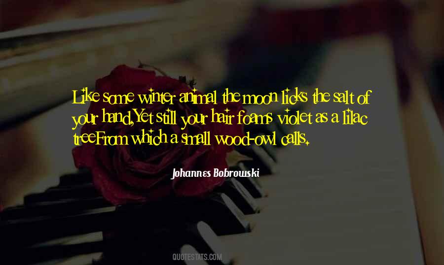 Johannes Bobrowski Quotes #573481