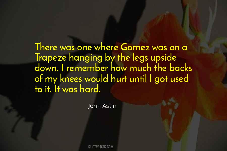 John Astin Quotes #640842