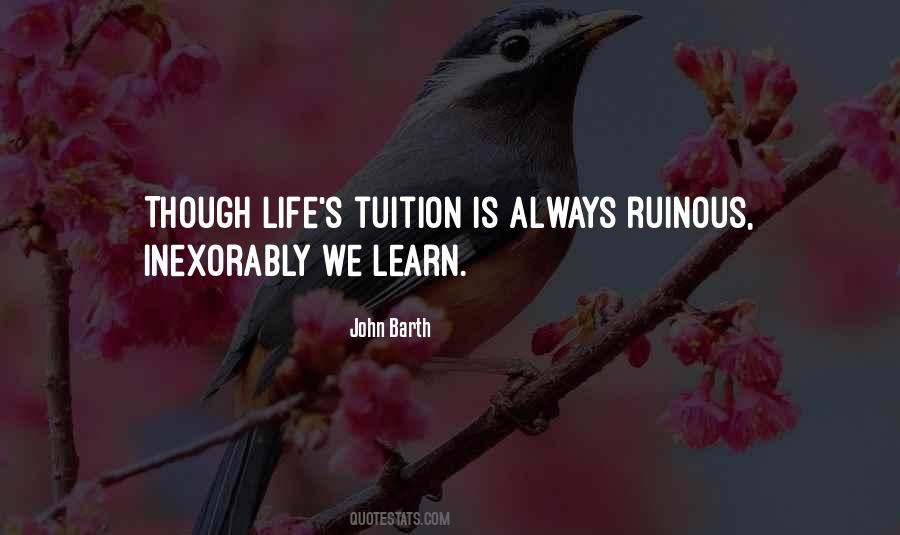 John Barth Quotes #903848