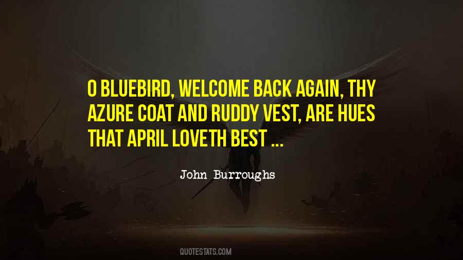 John Burroughs Quotes #1109385