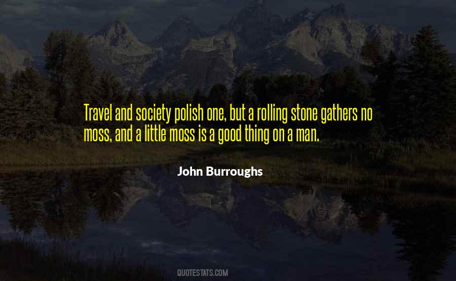 John Burroughs Quotes #1299587