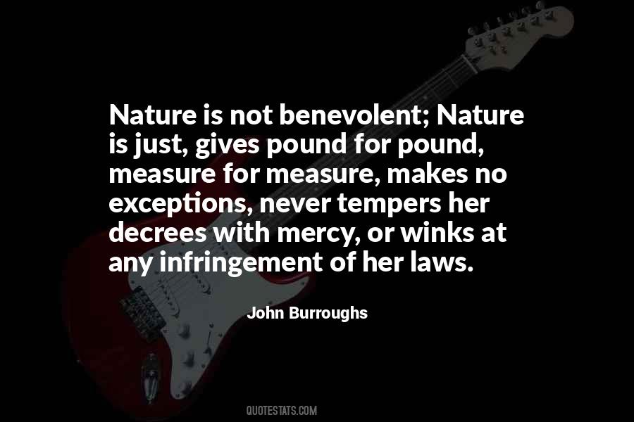 John Burroughs Quotes #139346