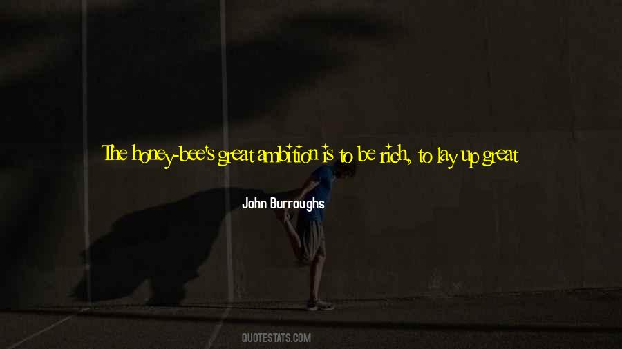 John Burroughs Quotes #449923