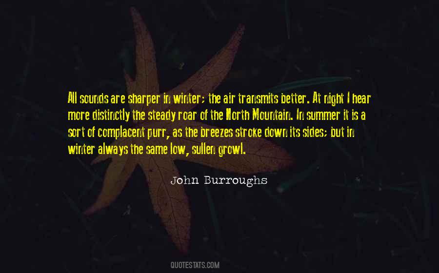 John Burroughs Quotes #651495