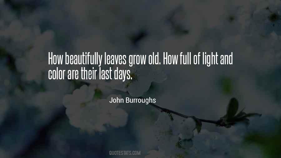 John Burroughs Quotes #90528