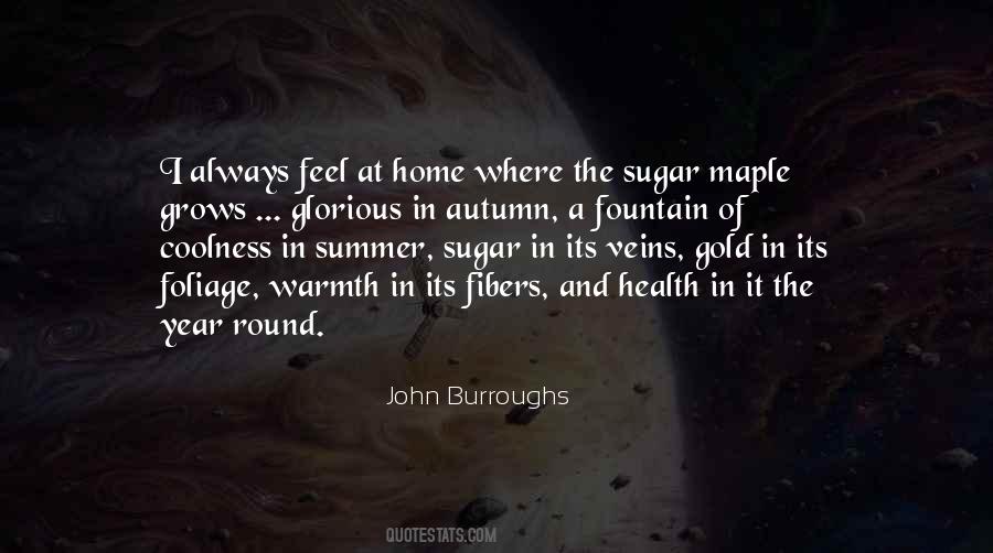 John Burroughs Quotes #912254