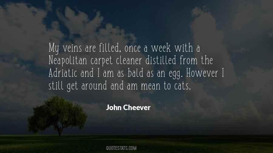 John Cheever Quotes #1143731