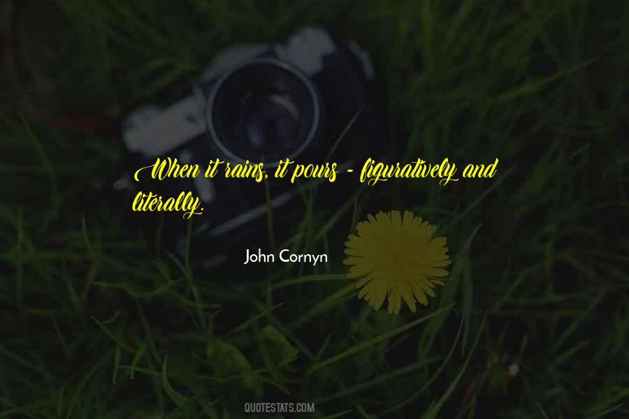 John Cornyn Quotes #1742573