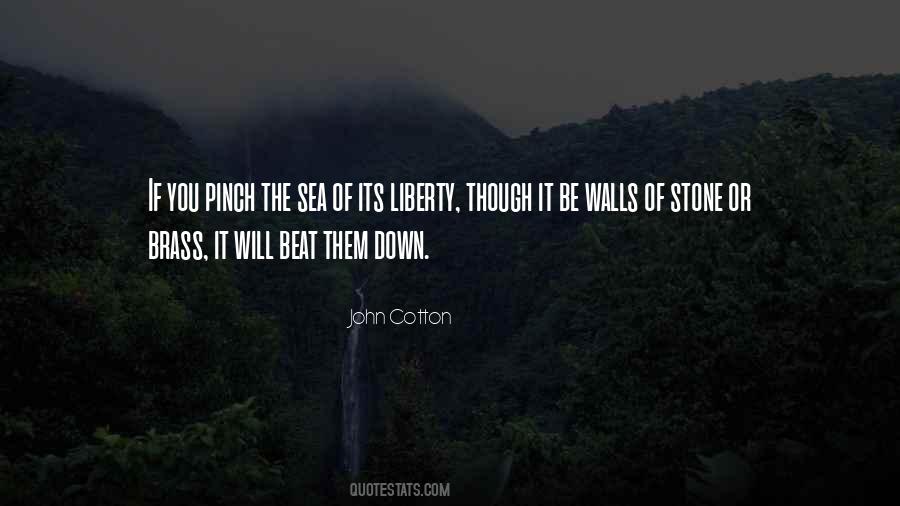 John Cotton Quotes #1681647