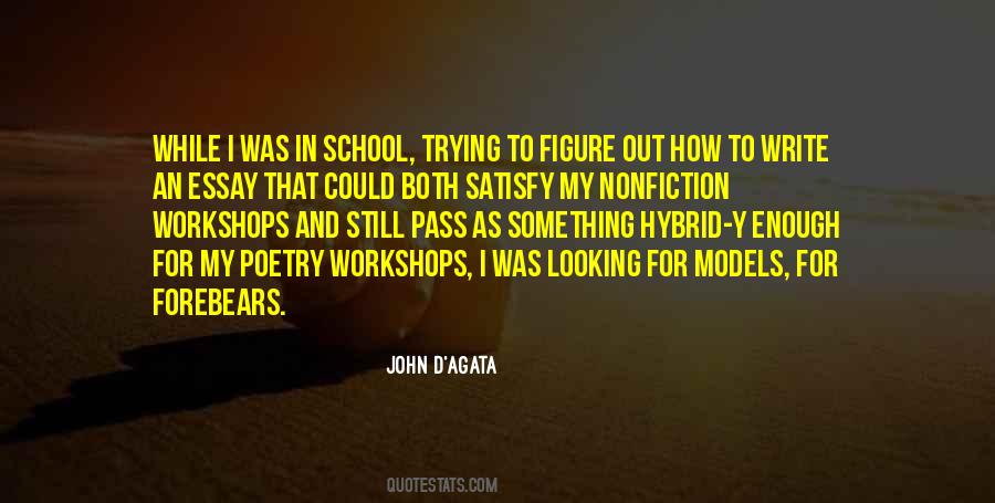 John D'agata Quotes #1838221