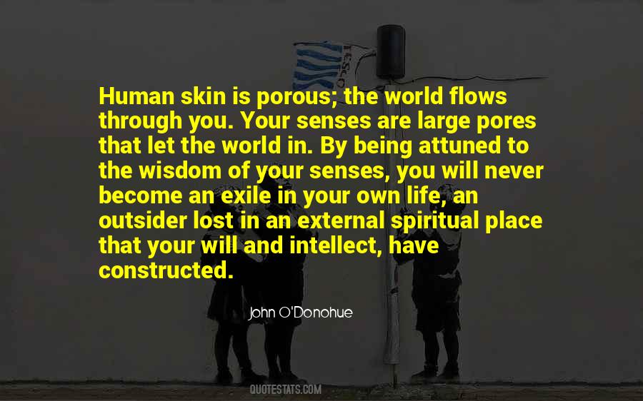 John Donohue Quotes #163991